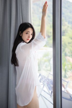 闯关东中篇